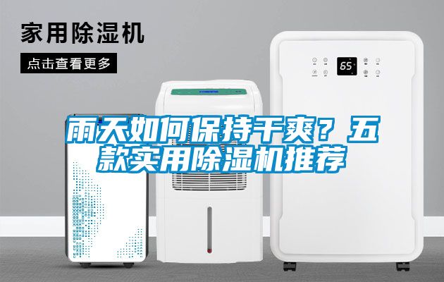 雨天如何保持干爽？五款實用除濕機推薦
