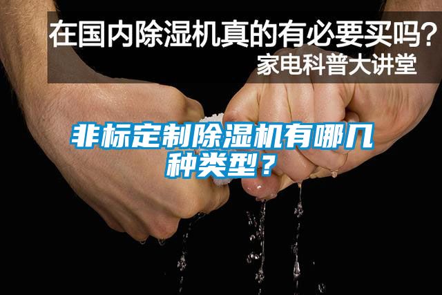 非標定制除濕機有哪幾種類型？