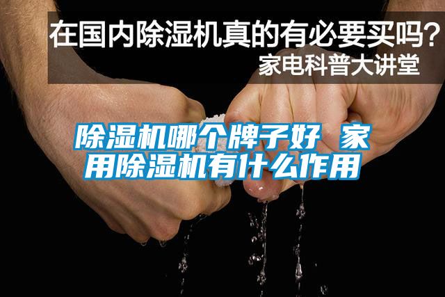 除濕機哪個牌子好 家用除濕機有什么作用
