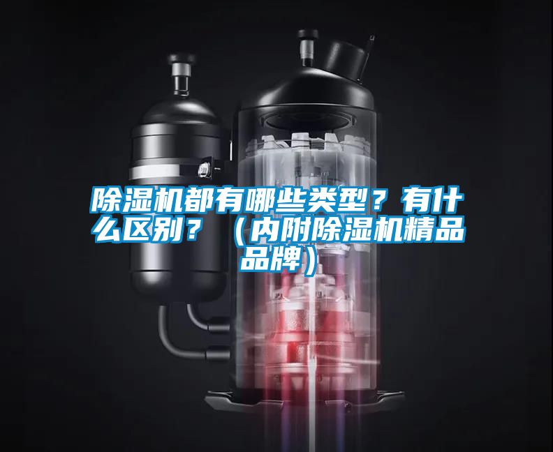 除濕機都有哪些類型？有什么區別？（內附除濕機精品品牌）