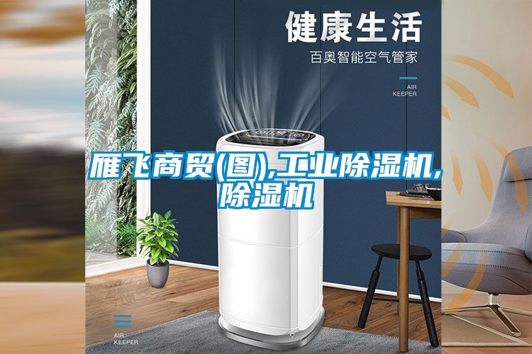 雁飛商貿(mào)(圖),工業(yè)除濕機,除濕機