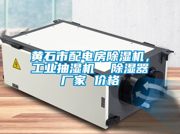 黃石市配電房除濕機，工業抽濕機  除濕器廠家 價格