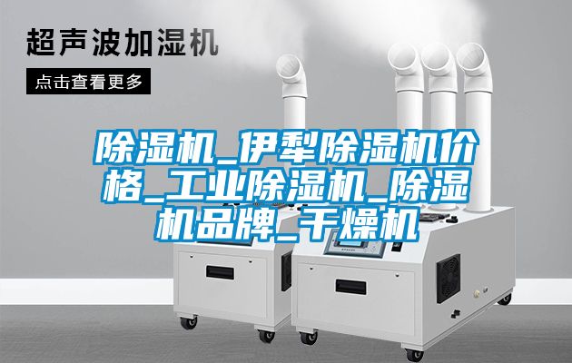 除濕機_伊犁除濕機價格_工業除濕機_除濕機品牌_干燥機