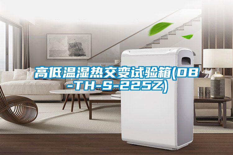 高低溫濕熱交變?cè)囼?yàn)箱(DB-TH-S-225Z)