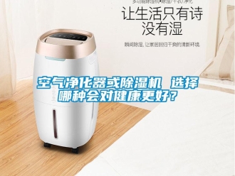 行業新聞空氣凈化器或除濕機 選擇哪種會對健康更好？