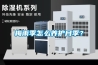 梅雨季怎么養(yǎng)護(hù)月季？