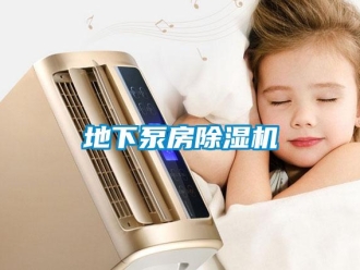 行業(yè)新聞地下泵房除濕機(jī)