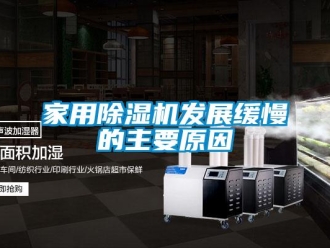 行業(yè)新聞家用除濕機發(fā)展緩慢的主要原因