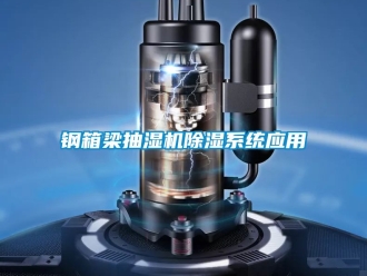 行業新聞鋼箱梁抽濕機除濕系統應用