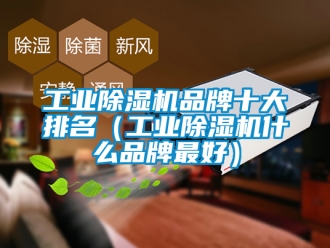 常見問題工業除濕機品牌十大排名（工業除濕機什么品牌最好）
