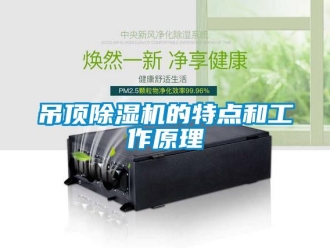 行業(yè)新聞吊頂除濕機的特點和工作原理