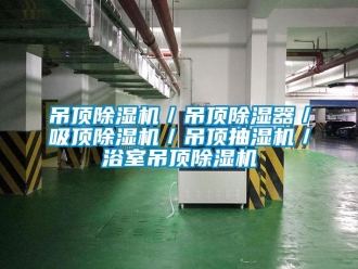 行業(yè)新聞吊頂除濕機／吊頂除濕器／吸頂除濕機／吊頂抽濕機／浴室吊頂除濕機