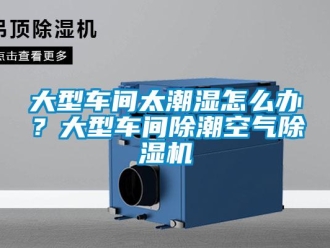 企業新聞大型車間太潮濕怎么辦？大型車間除潮空氣除濕機