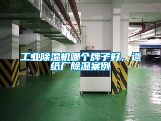 常見問題工業(yè)除濕機(jī)哪個牌子好，造紙廠除濕案例