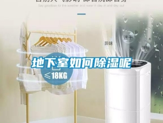 企業(yè)新聞地下室如何除濕呢
