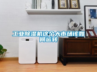 常見問題工業除濕機這個大市場該如何運轉