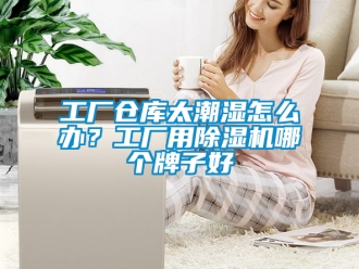 企業新聞工廠倉庫太潮濕怎么辦？工廠用除濕機哪個牌子好