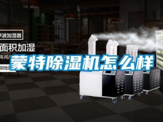 行業(yè)新聞蒙特除濕機(jī)怎么樣