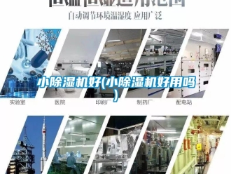 行業新聞小除濕機好(小除濕機好用嗎)