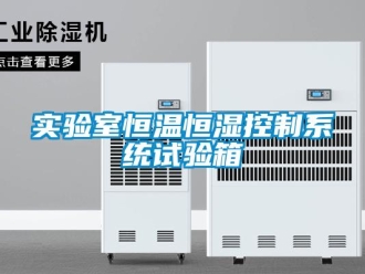 知識百科實驗室恒溫恒濕控制系統試驗箱