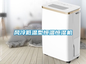 知識百科風冷低溫型恒溫恒濕機
