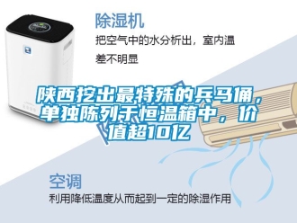 知識百科陜西挖出最特殊的兵馬俑，單獨陳列于恒溫箱中，價值超10億