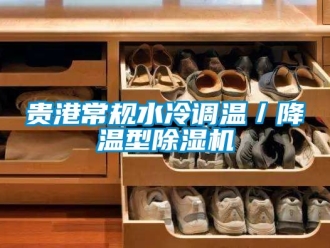 行業新聞貴港常規水冷調溫／降溫型除濕機