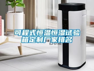 知識百科可程式恒溫恒濕試驗箱定制廠家排名