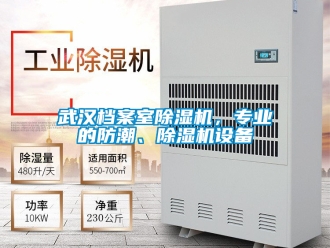 行業(yè)新聞武漢檔案室除濕機(jī)，專業(yè)的防潮、除濕機(jī)設(shè)備
