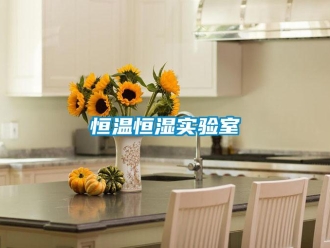 知識百科恒溫恒濕實驗室