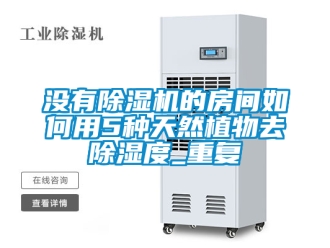 行業新聞沒有除濕機的房間如何用5種天然植物去除濕度_重復