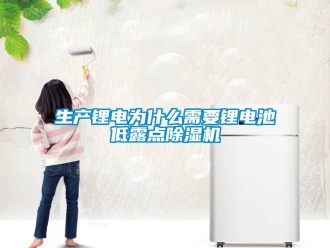 知識百科生產鋰電為什么需要鋰電池低露點除濕機