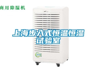 知識百科上海步入式恒溫恒濕試驗室