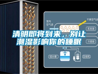 行業新聞清明即將到來，別讓潮濕影響你的睡眠