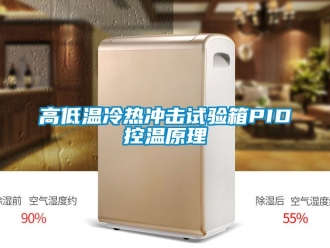 常見問題高低溫冷熱沖擊試驗箱PID控溫原理
