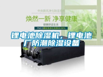 行業(yè)新聞鋰電池除濕機(jī)，鋰電池廠防潮除濕設(shè)備