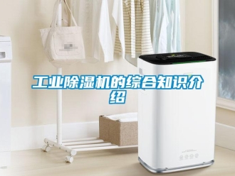企業(yè)新聞工業(yè)除濕機(jī)的綜合知識(shí)介紹