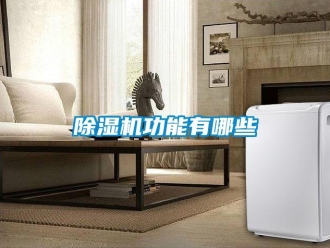 常見問題除濕機功能有哪些