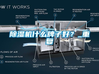行業新聞除濕機什么牌子好？_重復