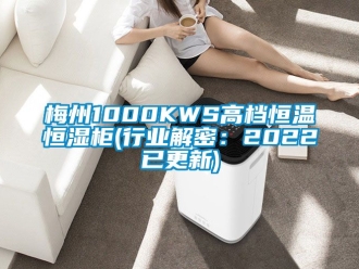 知識百科梅州1000KWS高檔恒溫恒濕柜(行業解密：2022已更新)