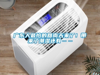 行業新聞廣東人最怕的回南天來了！帶來了潮濕還有……