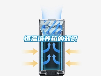 知識百科恒溫培養箱的知識