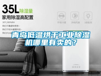 常見問題青島低溫烘干工業(yè)除濕機(jī)哪里有賣的？