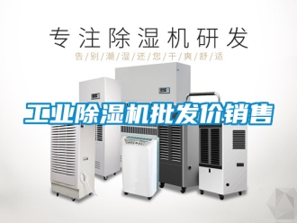 常見問題工業除濕機批發價銷售