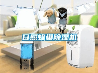 行業新聞日照蜂巢除濕機