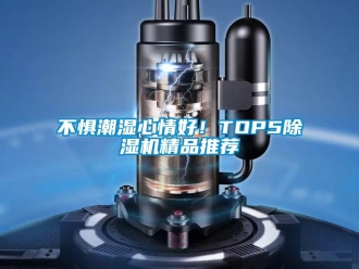 企業(yè)新聞不懼潮濕心情好！TOP5除濕機(jī)精品推薦