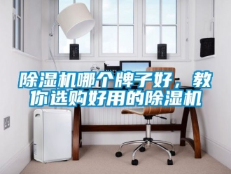 行業(yè)新聞除濕機哪個牌子好，教你選購好用的除濕機