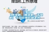 【除濕機，加濕機，干燥機】今日行情價格走勢