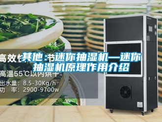 企業新聞其他：迷你抽濕機—迷你抽濕機原理作用介紹