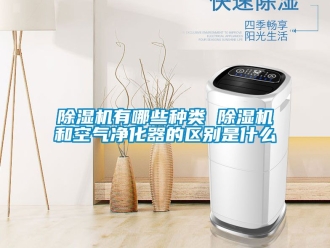 行業(yè)新聞除濕機有哪些種類 除濕機和空氣凈化器的區(qū)別是什么